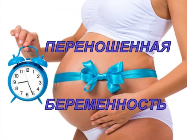 54a13328023c105527fd5dbfd0b99f92_800x600