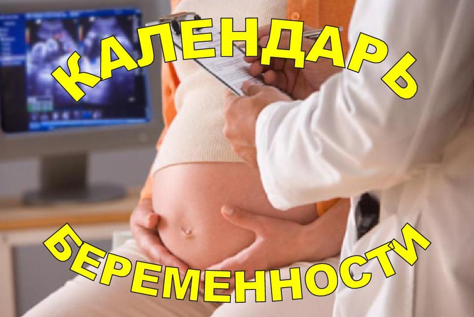 История беременности