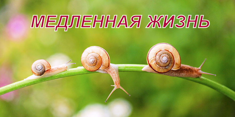 iStock_000033289058_Large-pic4_zoom-1000×1000-60757