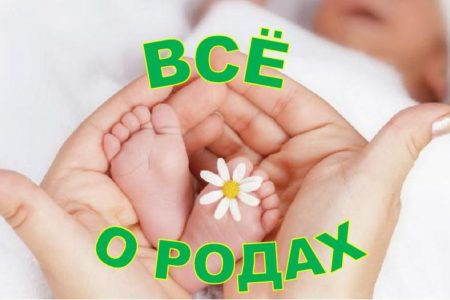 роды роды