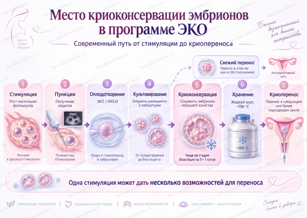 крио эко