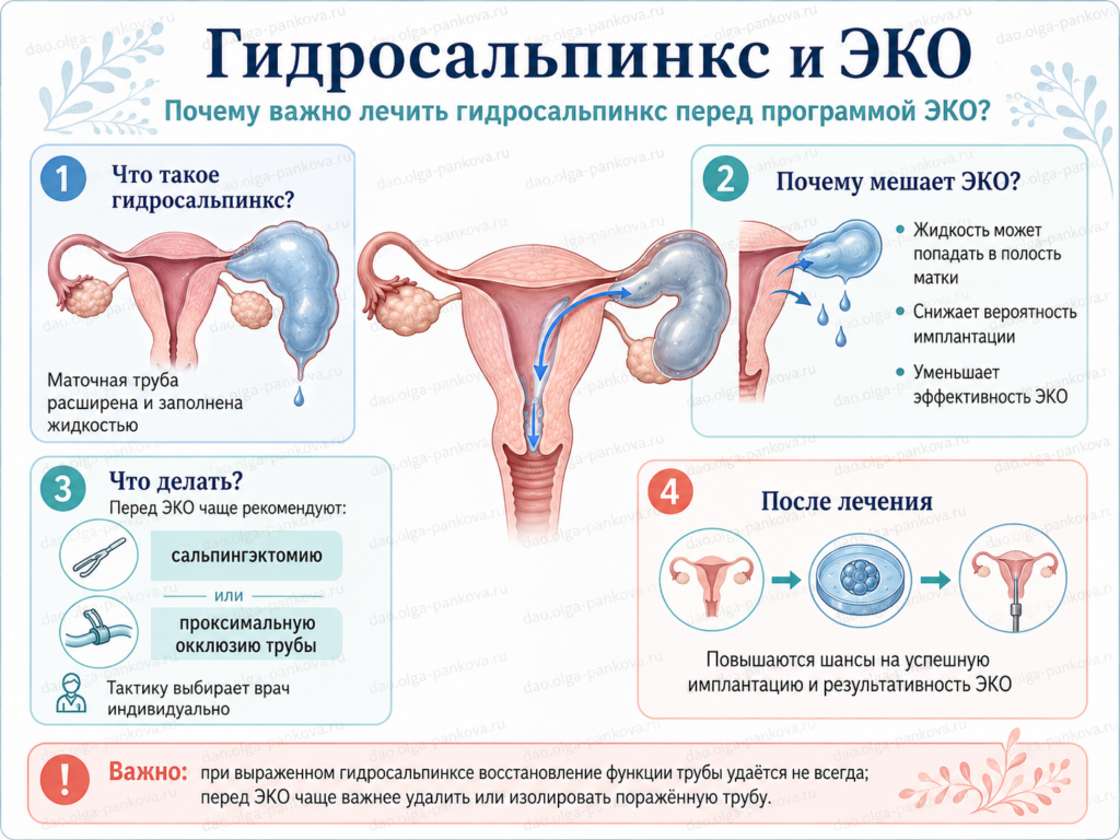 гидросальпинкс и эко