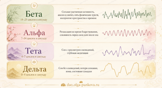 альфа- и тета-волны альфа- и тета-волны