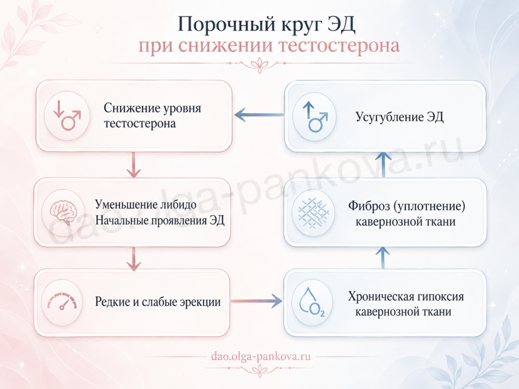 порочный круг
