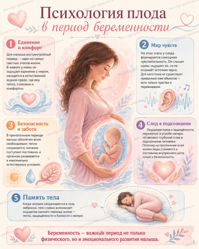 психология плода внутриутробно