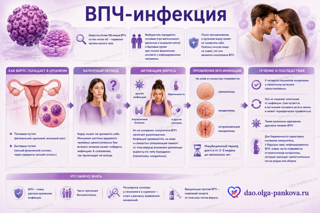 впч