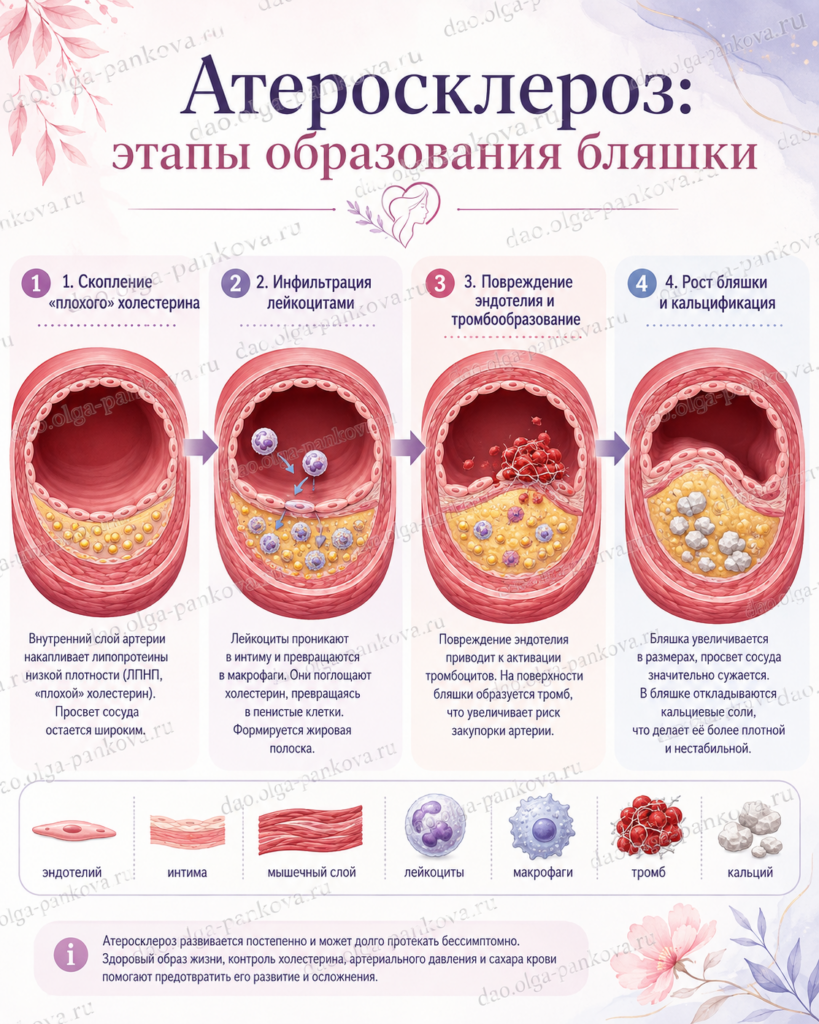 ChatGPT Image 21 авг. 2026 г., 19_03_42
