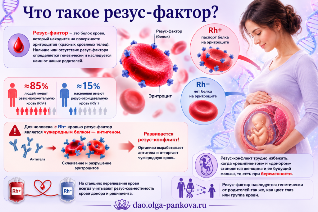 резус-фактор