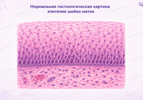 норма шм