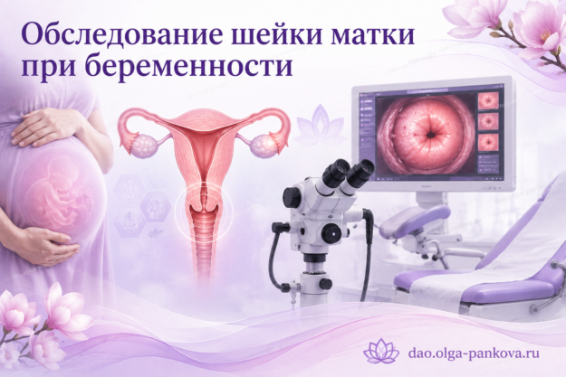 обследование шм беременность