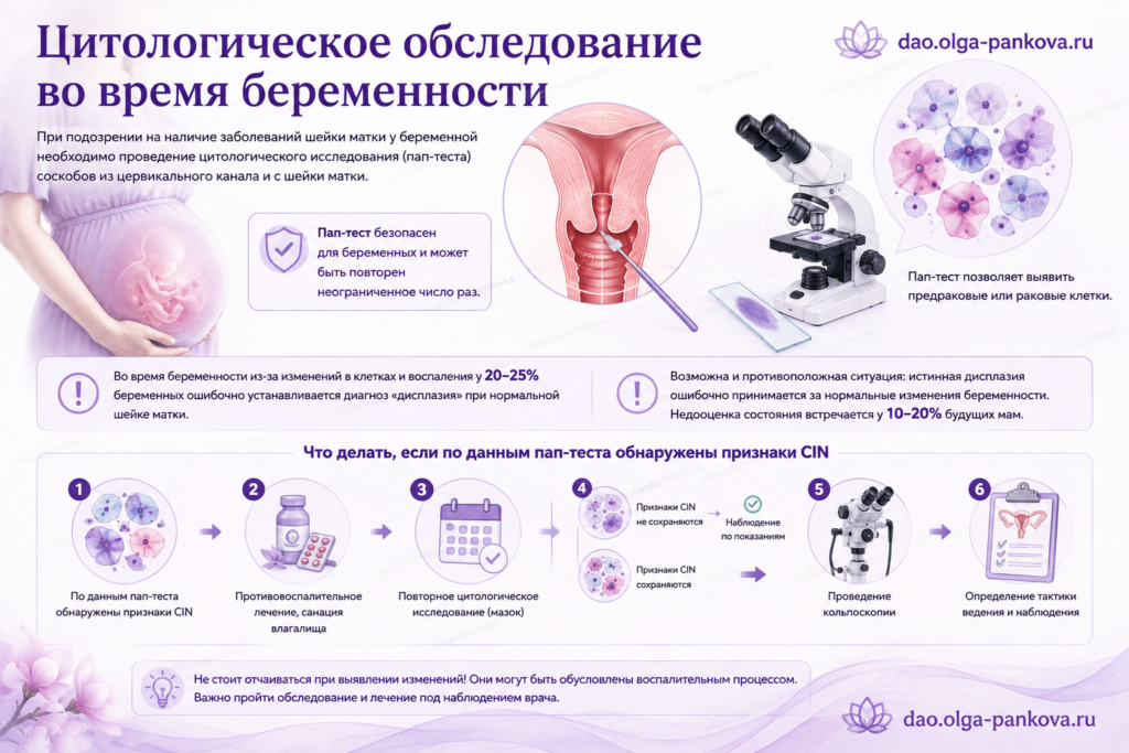цитология беременность