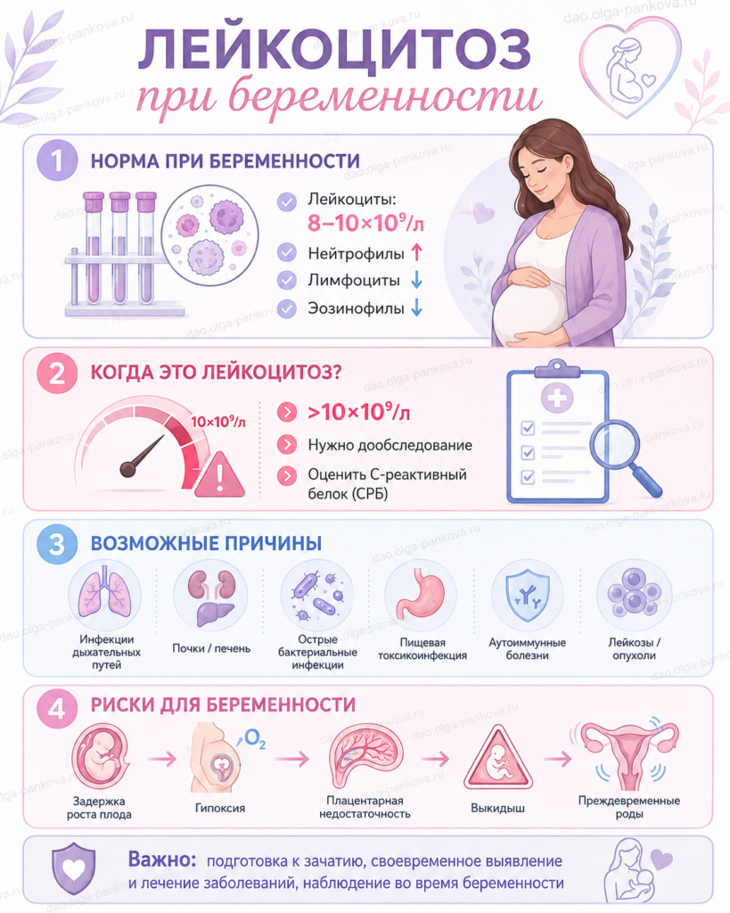 анализ беременность лейкоцитоз