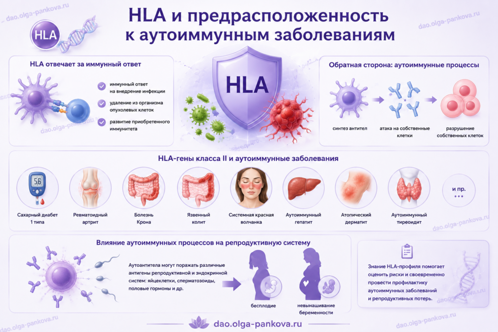 HLA