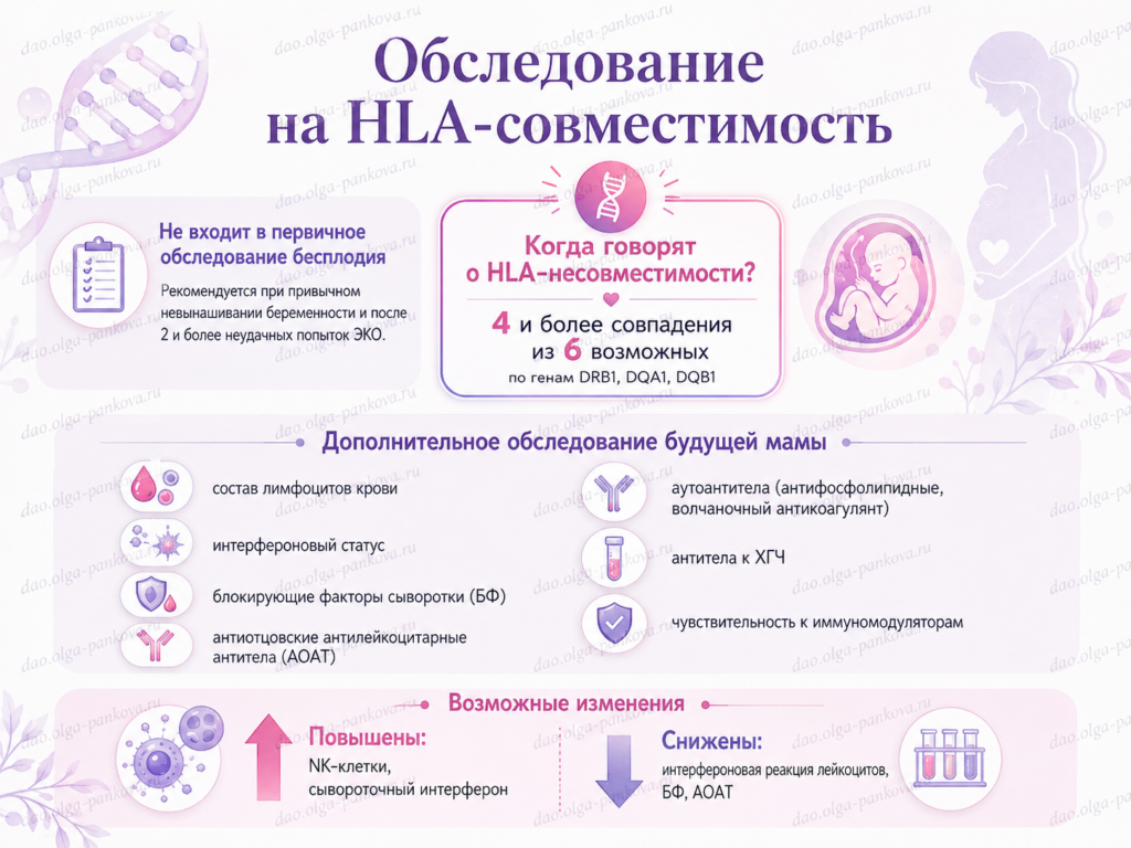 HLA