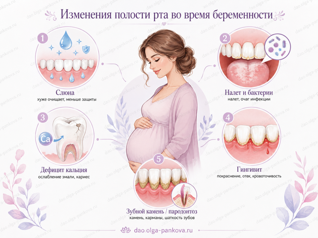 зубы полость рта беременность