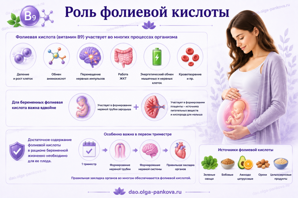 фолиевая кислота