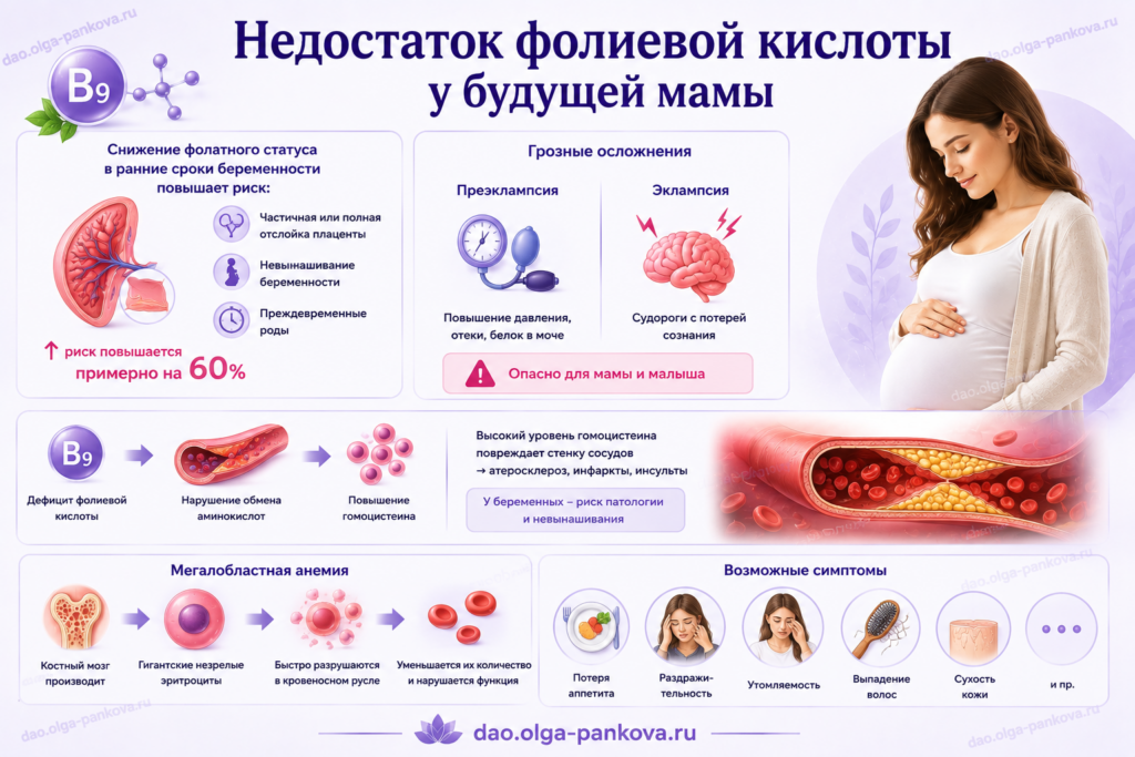 фолиевая кислота дефицит беременность