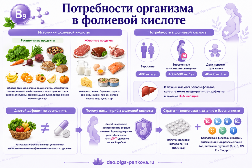 фолиевая кислота потребности