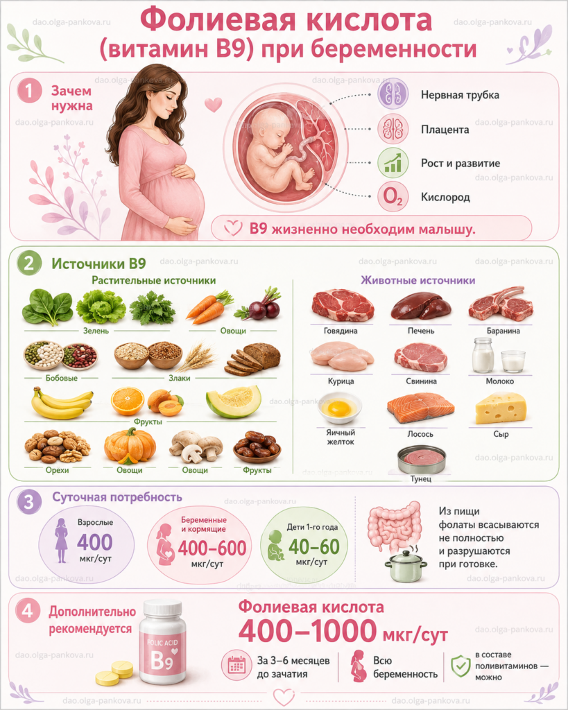 фолиевая кислота