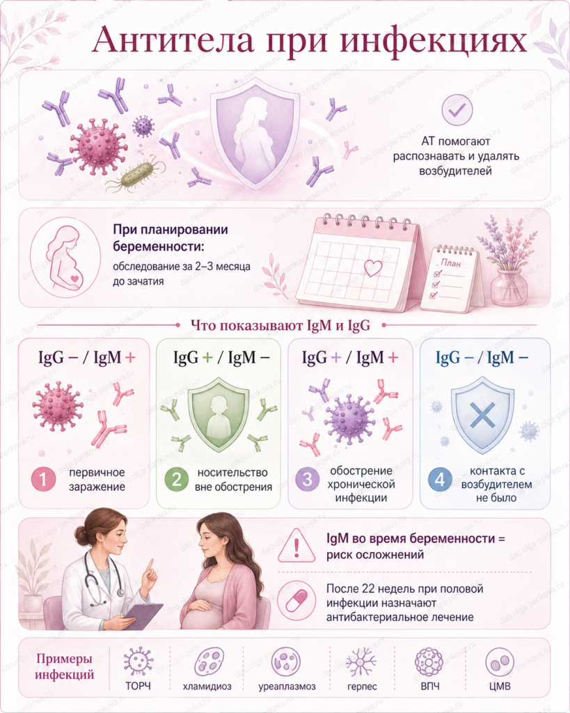ат антитела инфекции