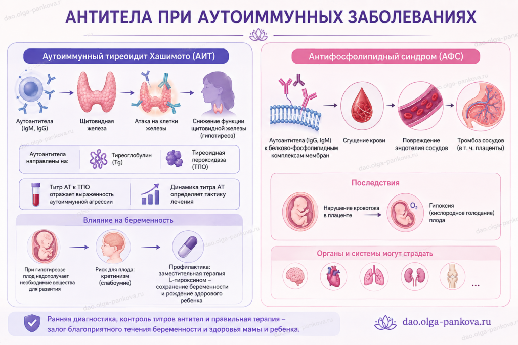 антитела ат аутоиммунные заболевания