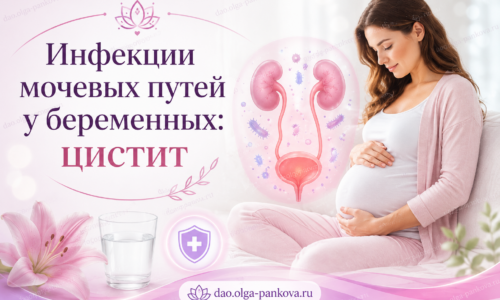 инфекции цистит беременность