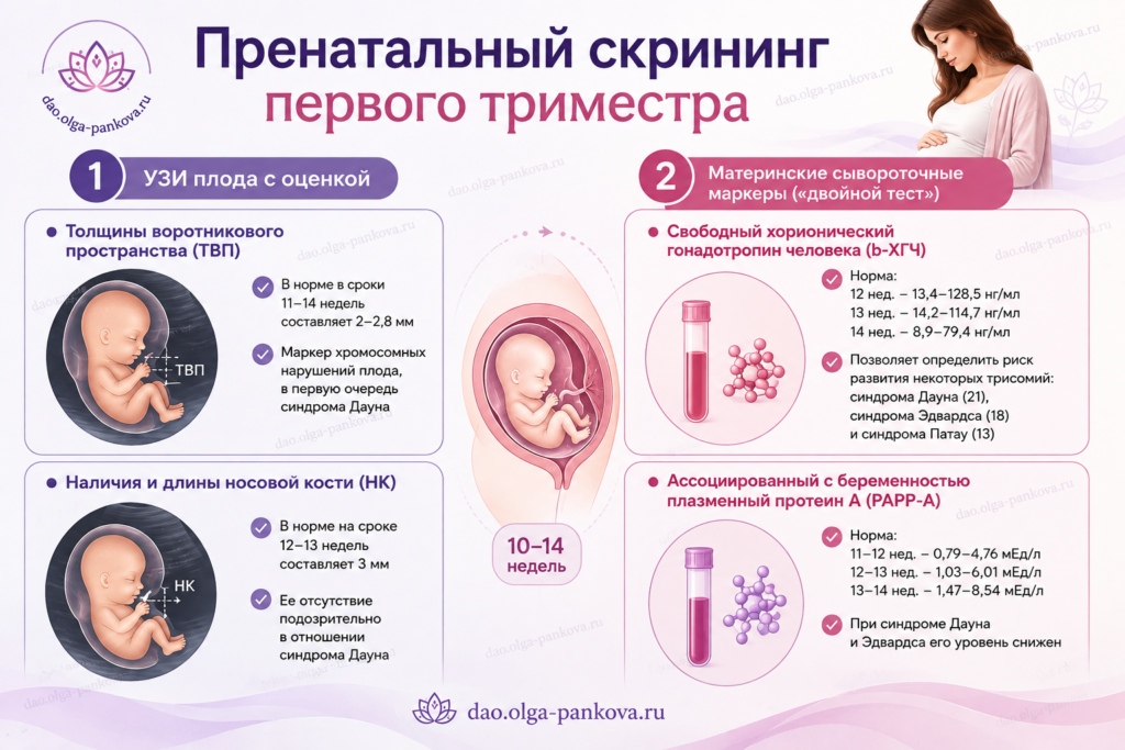скрининг пренатальный
