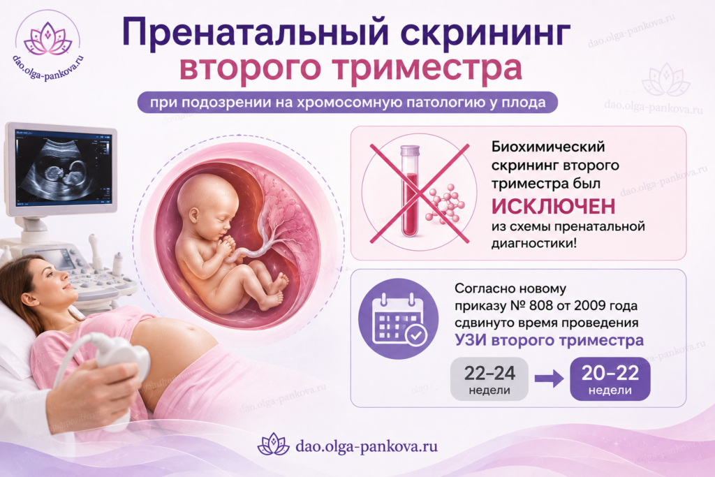 скрининг пренатальный