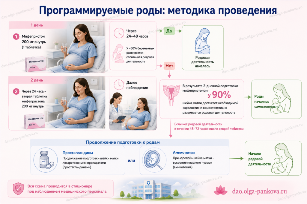 программируемые роды