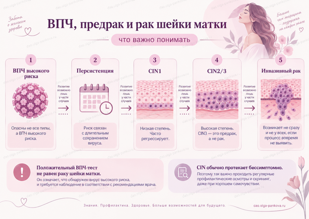 предрак шм впч