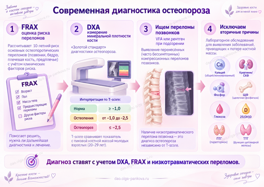 остеопороз