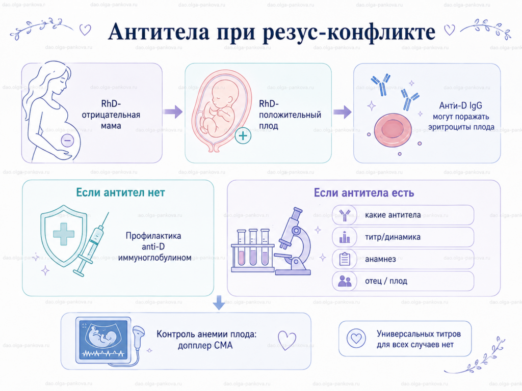 резус антитела
