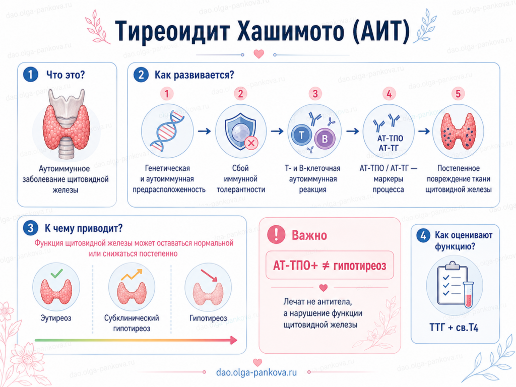 аит