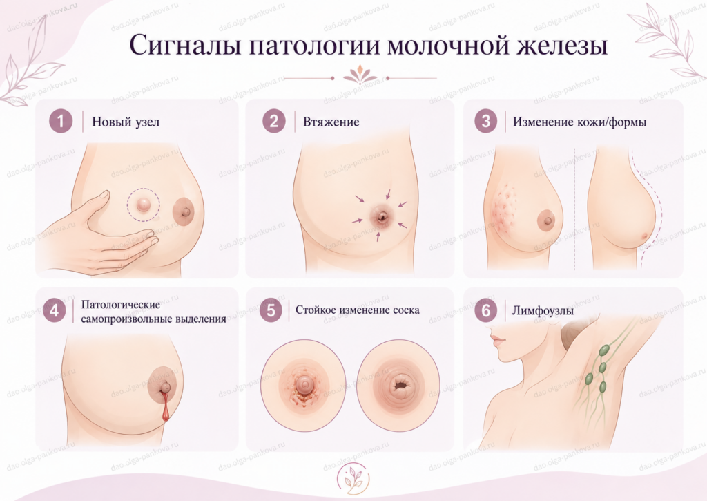 патология мж