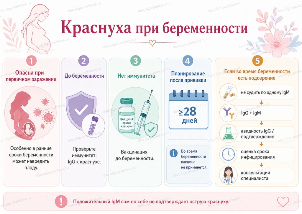 торч краснуха