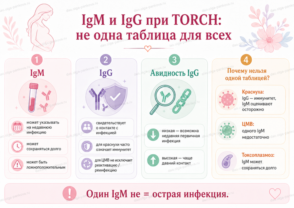 торч