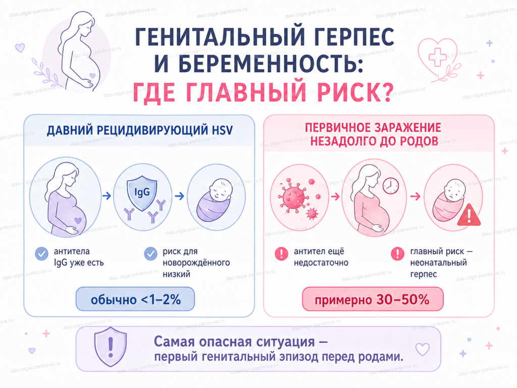 герпес