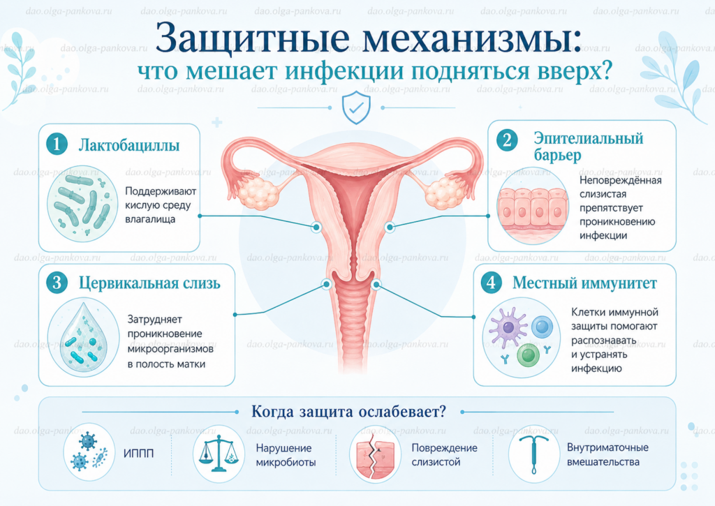 защитные механизмы