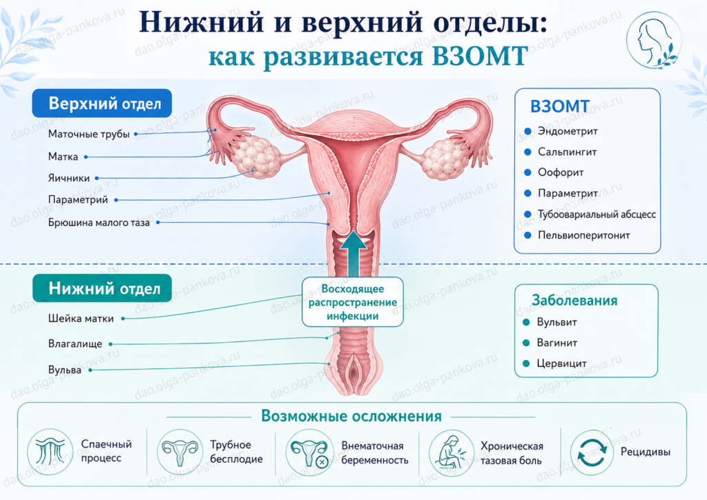 воспалительные заболевания отделы