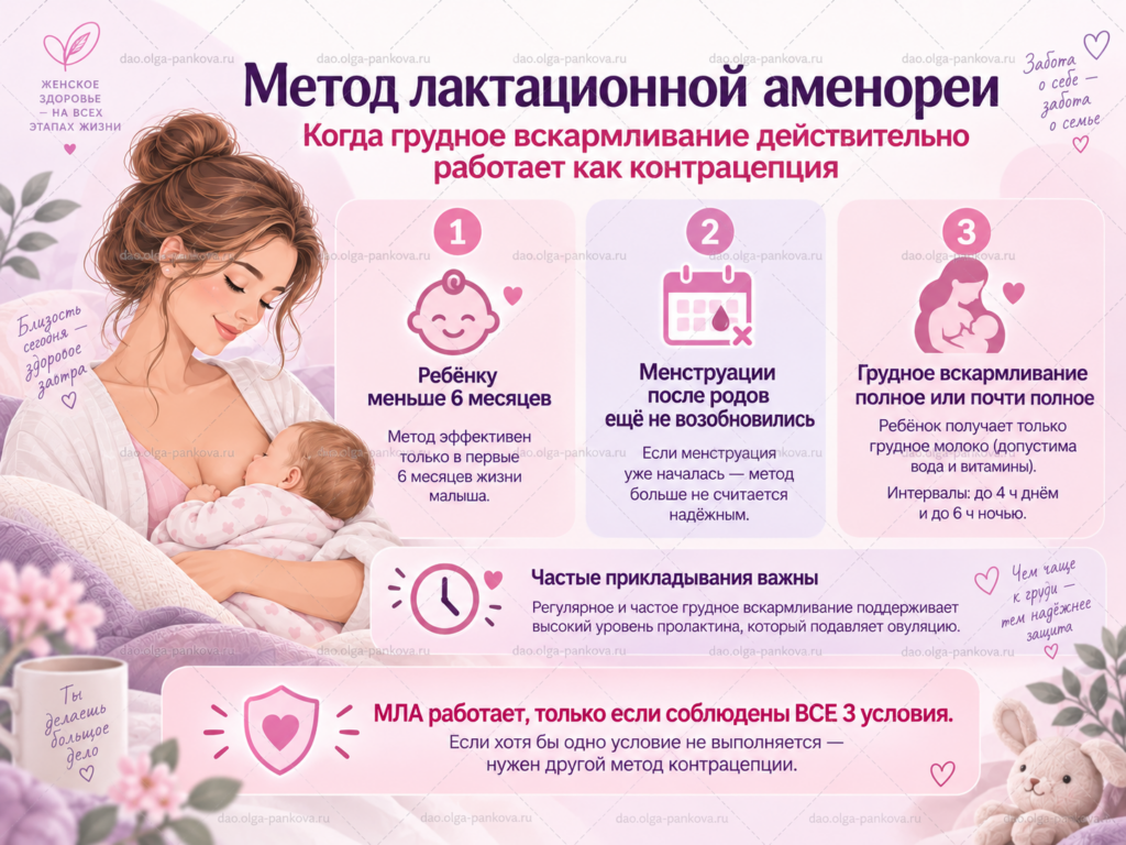 гв аменорея