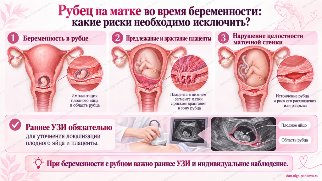рубец