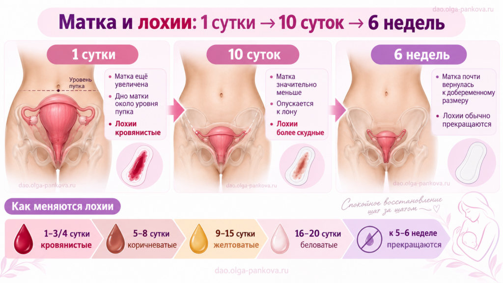 восстановление после родов