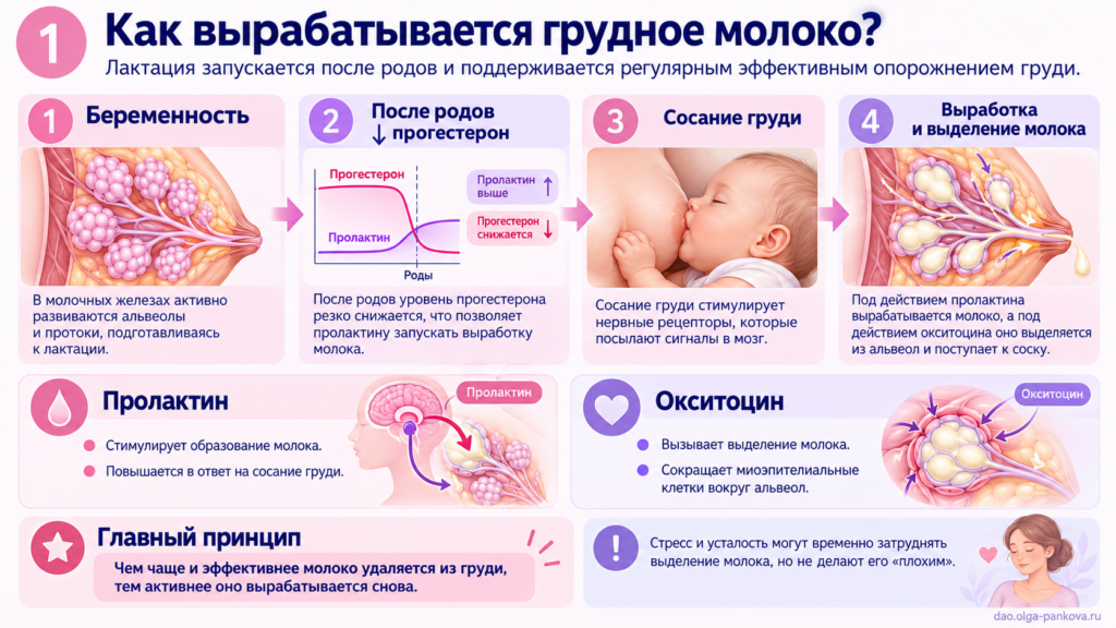 грудное молоко