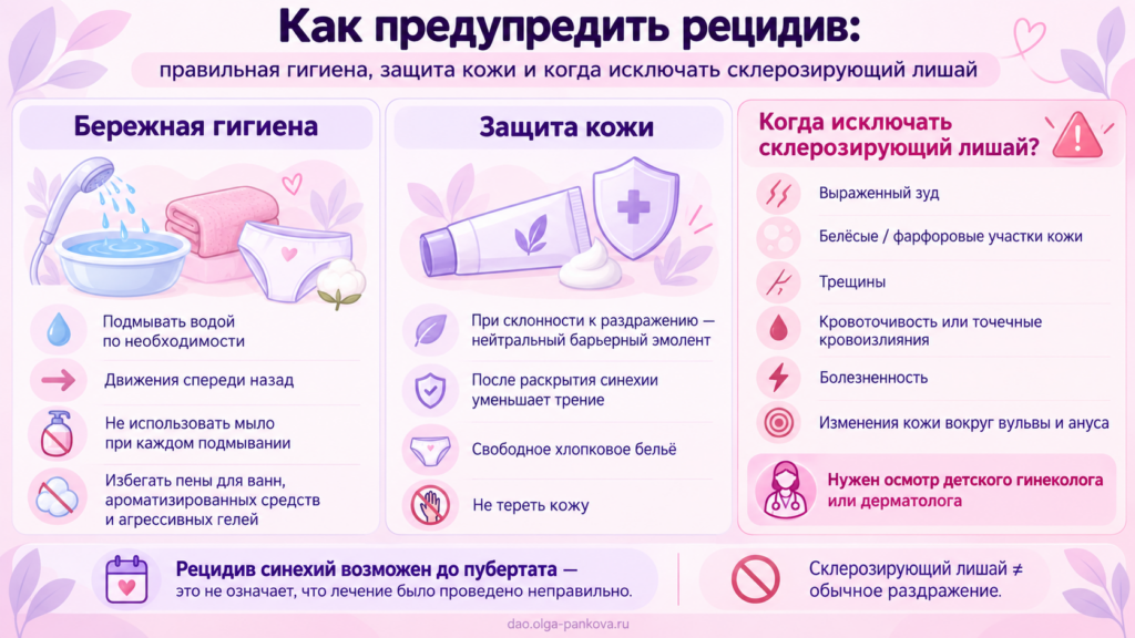 Синехии